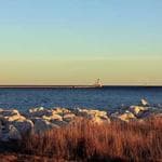 Express Weed Delivery